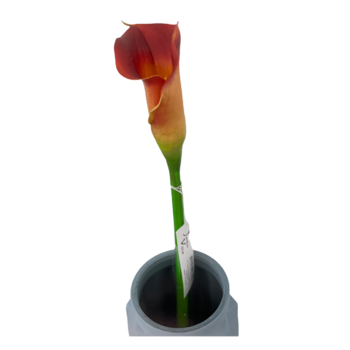 Calla Lily - 19inch - Real Touch - Red