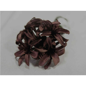 72 x Hybrid Craft Lilies - Chocolate