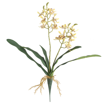45cm Orchid Flower with Roots - Yellow