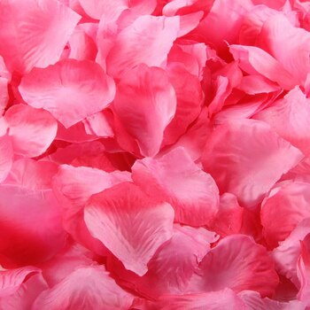 Rose Petals  - Pink / Fushia  -100pk