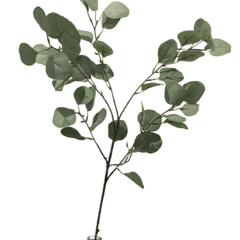 95cm Native Eucalyptus Leaf Branch (Silver Dollar)