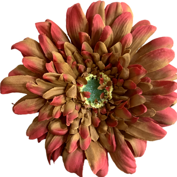 15cm Gerbera Flower Head - Autumn