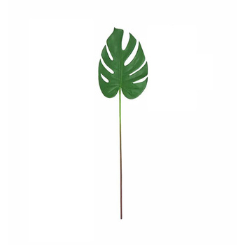 52cm Monstera Split Leaf Philodendron - Green