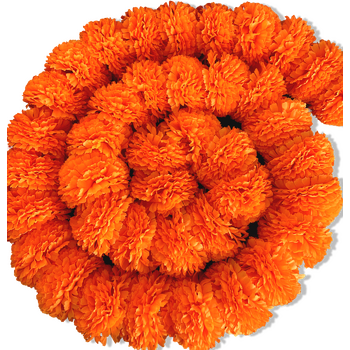 2m - Giant Marigold Garland (Diwali) - Orange