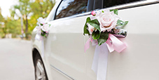 Car Bows & Flowers