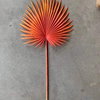 thumb_92cm Fan Palm Frond Leaf - 12 Colours Available [colours: Chocolate]