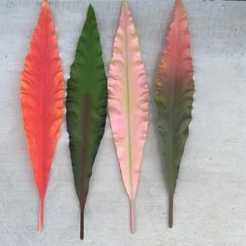 thumb_7cm Large Sword Leaf (Gymea) -  [colours: 2 Tone Green/Pink]