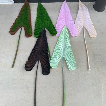 thumb_106cm Giant Calla Lily Leaf - Green