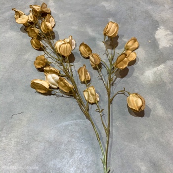 thumb_100cm Lantern Flower - Golden