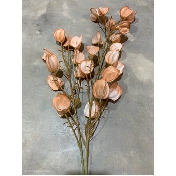 thumb_100cm Lantern Flower - Peach