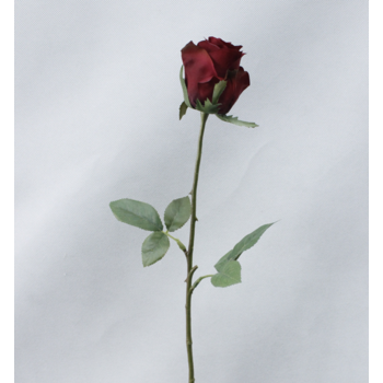 thumb_38cm - Single Stem Bud Rose - Burgundy