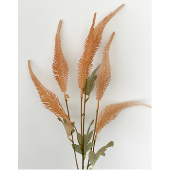 thumb_70cm - 6 Head Grass/Reed Flower Stem - Peach
