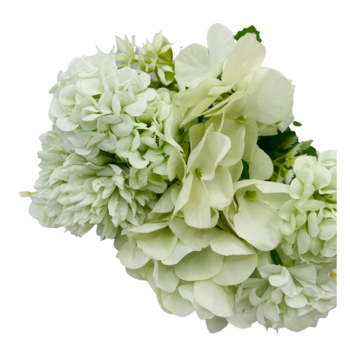 thumb_Green Mixed Hydrangea/Carnation - Filler Bunch