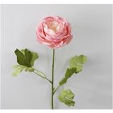 thumb_45cm Ranunculus Flower Stem - PINK