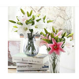 thumb_Lily Stem White