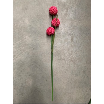 thumb_Fushia Onion Ball Flower Stem - 73cm