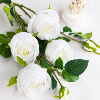 thumb_80cm Stunning 6 head large rose stems