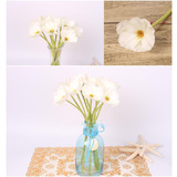 thumb_Poppy Stem - White