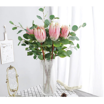 thumb_70cm Soft Pink Native Protea - Large Flower