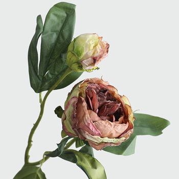 thumb_50cm - Coffee Artrificial Dried Look Peony