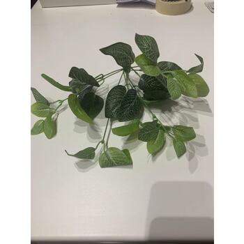 thumb_30cm Pepperomia Leaf Spray -  Green