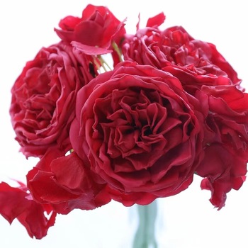 thumb_Cottage Rose & Hydrangea Bouquet - Red - Real Touch