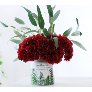 thumb_Carnation Bouquet 5 Head - Red
