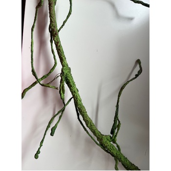 thumb_140cm Bendable Branch - Brown