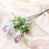 thumb_Lavender Bush - White/Purple