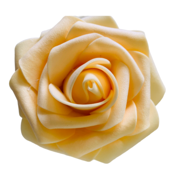 thumb_25pk - Cream Foam Roses - 7.6cm on stem/pick
