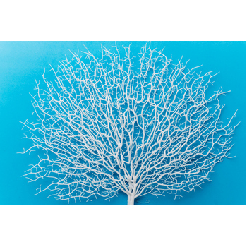 thumb_55cm Artificial Fan Coral Branch - White