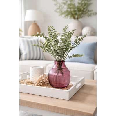 thumb_True Blue Eucalyptus Bush 40cm