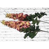 thumb_Delphinium Stem - 83cm- w/ 6 leaves - Two Toned Dusty Pink