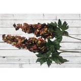 thumb_Delphinium Stem - 83cm- w/ 6 leaves - Two Toned Burgundy