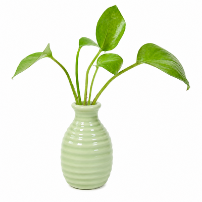 thumb_Small Green Ceramic Bud Vase 8cm