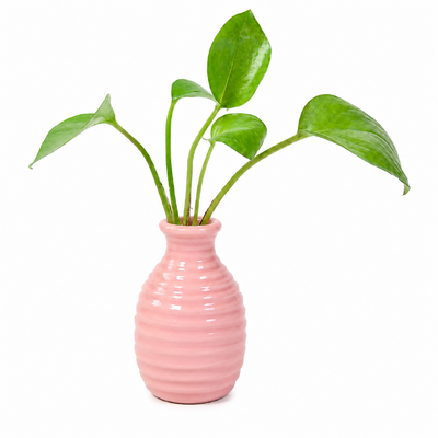 thumb_Small Pink Ceramic Bud Vase 8cm