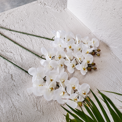thumb_White Phalaenopsis Orchid Stem - 9 Head – 98cm