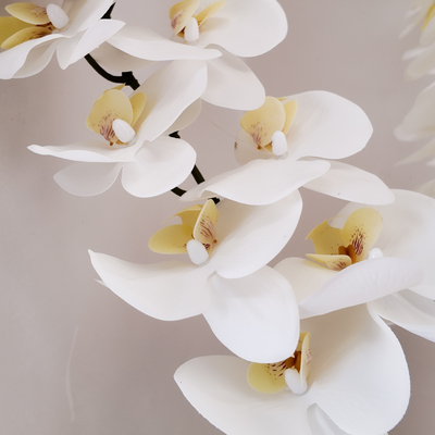 thumb_White Soft Touch Phalaenopsis Orchid Stem – 100cm Artificial Flower