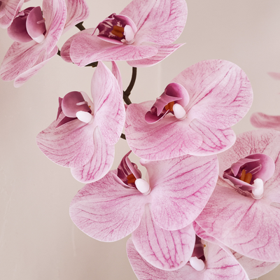 thumb_Pink Soft Touch Phalaenopsis Orchid Stem – 100cm Artificial Flower