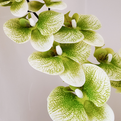 thumb_Green Soft Touch Phalaenopsis Orchid Stem – 100cm Artificial Flower