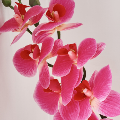 thumb_Deep Pink Soft Touch Phalaenopsis Orchid Stem – 100cm Artificial Flower