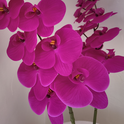 thumb_Fushia Soft Touch Phalaenopsis Orchid Stem – 100cm Artificial Flower