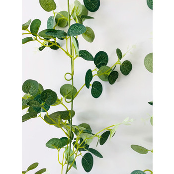 thumb_1.95m Small Leaf Native Silver Dollar Gum Eucalyptus Garland (Cinerea)