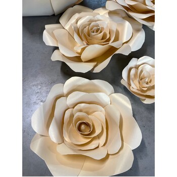 thumb_5pc set - Giant Paper Roses - Cream/Champ