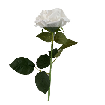 thumb_75cm - 13cm Diameter White Velvet Rose Stem