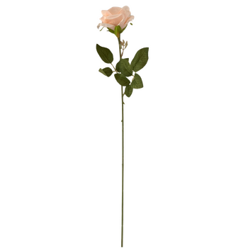 thumb_60cm - Soft Peach Single Stem Rose