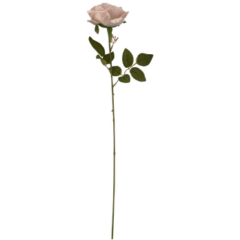 thumb_60cm - Soft Mauve Single Stem Rose