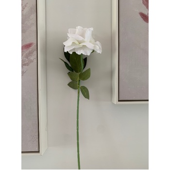 thumb_50cm - White Velvet Single Stem Rose