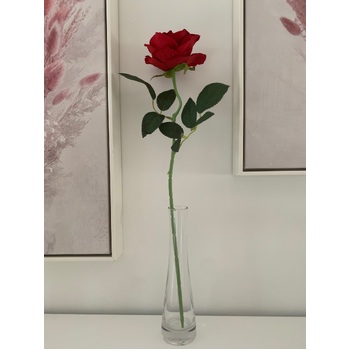 thumb_50cm - Red Velvet Single Stem Rose