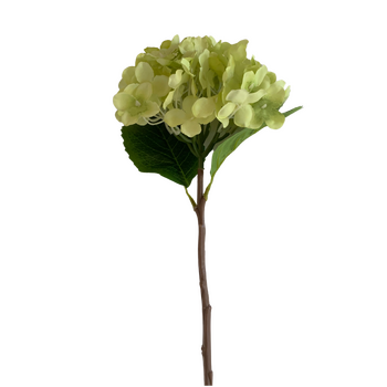 thumb_Hydrangea Stem 35cm - Light Green